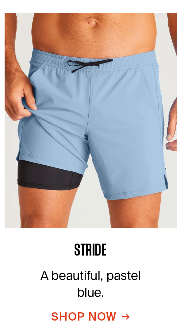 THE WARREN SHORT WITH LINER | STRIDE