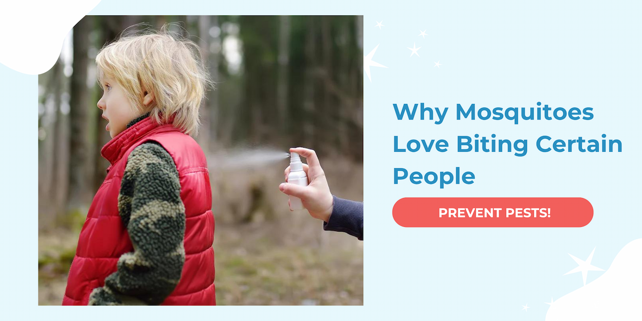 Why Mosquitoes Love Biting Some of Us More Than Others