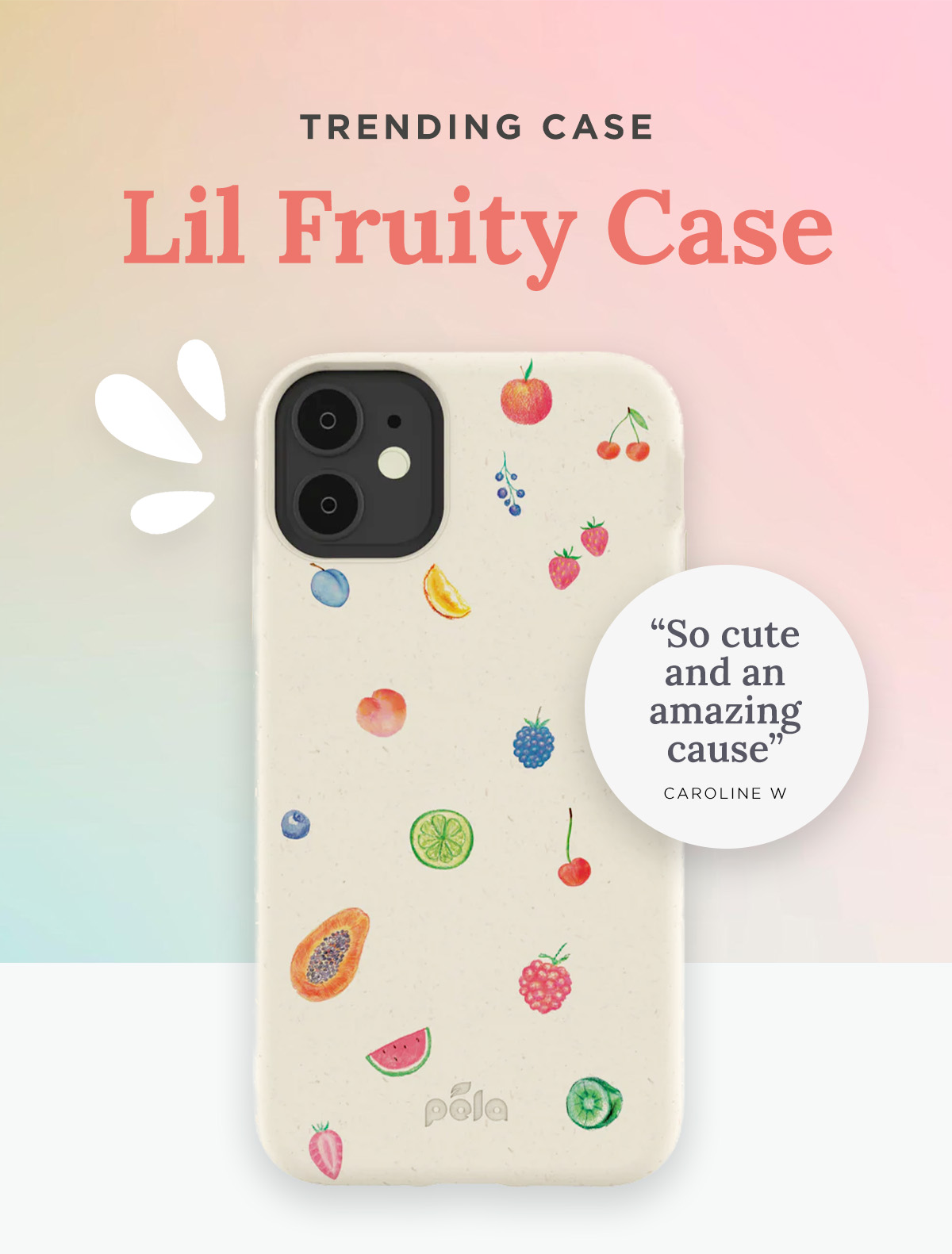 Lil Fruity Case