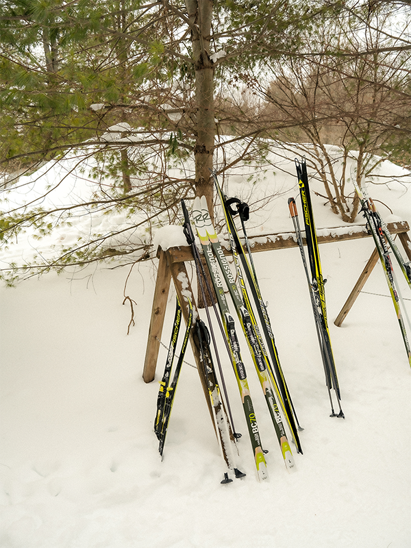 Pictured: scenes from Vasa Pathways, Traverse City, MI