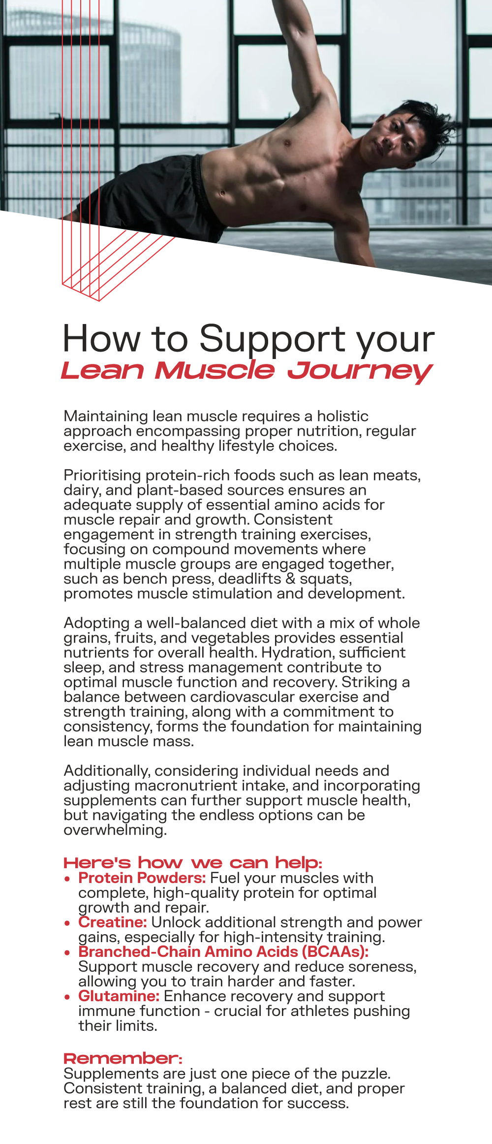 How to support Your Lean Muscle Journey 💪 Mr Vitamins