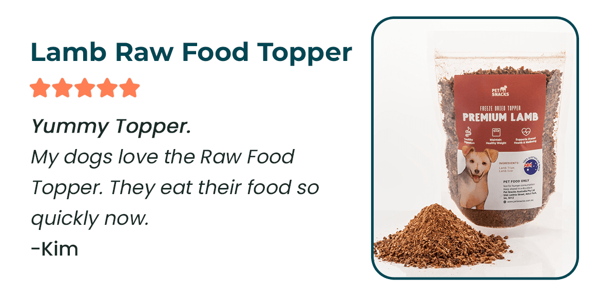 How to refresh your dogs kibble Pet Snacks