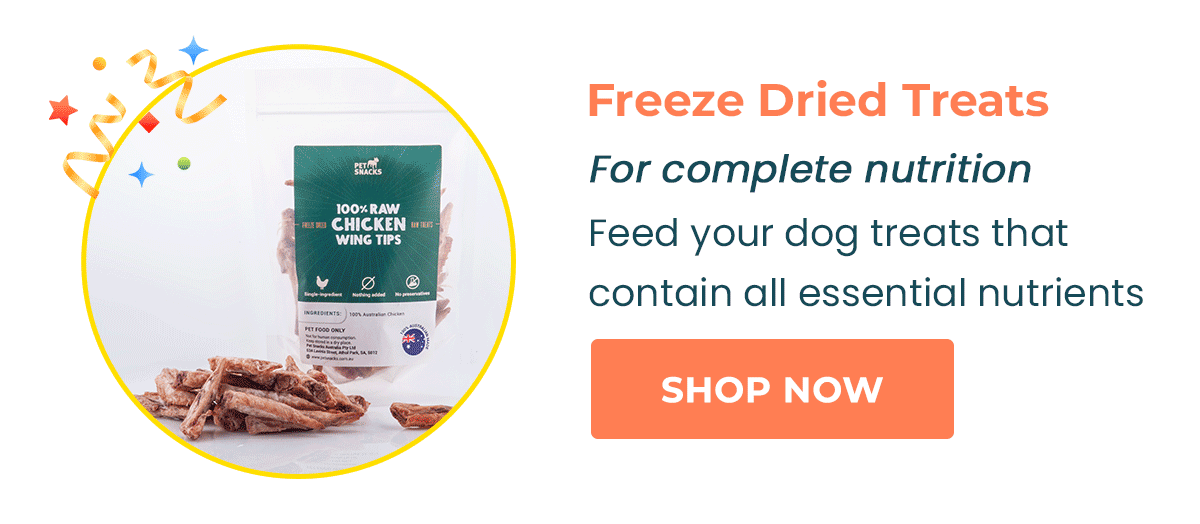 Make 2023 your furbaby’s year 🐾 Pet Snacks