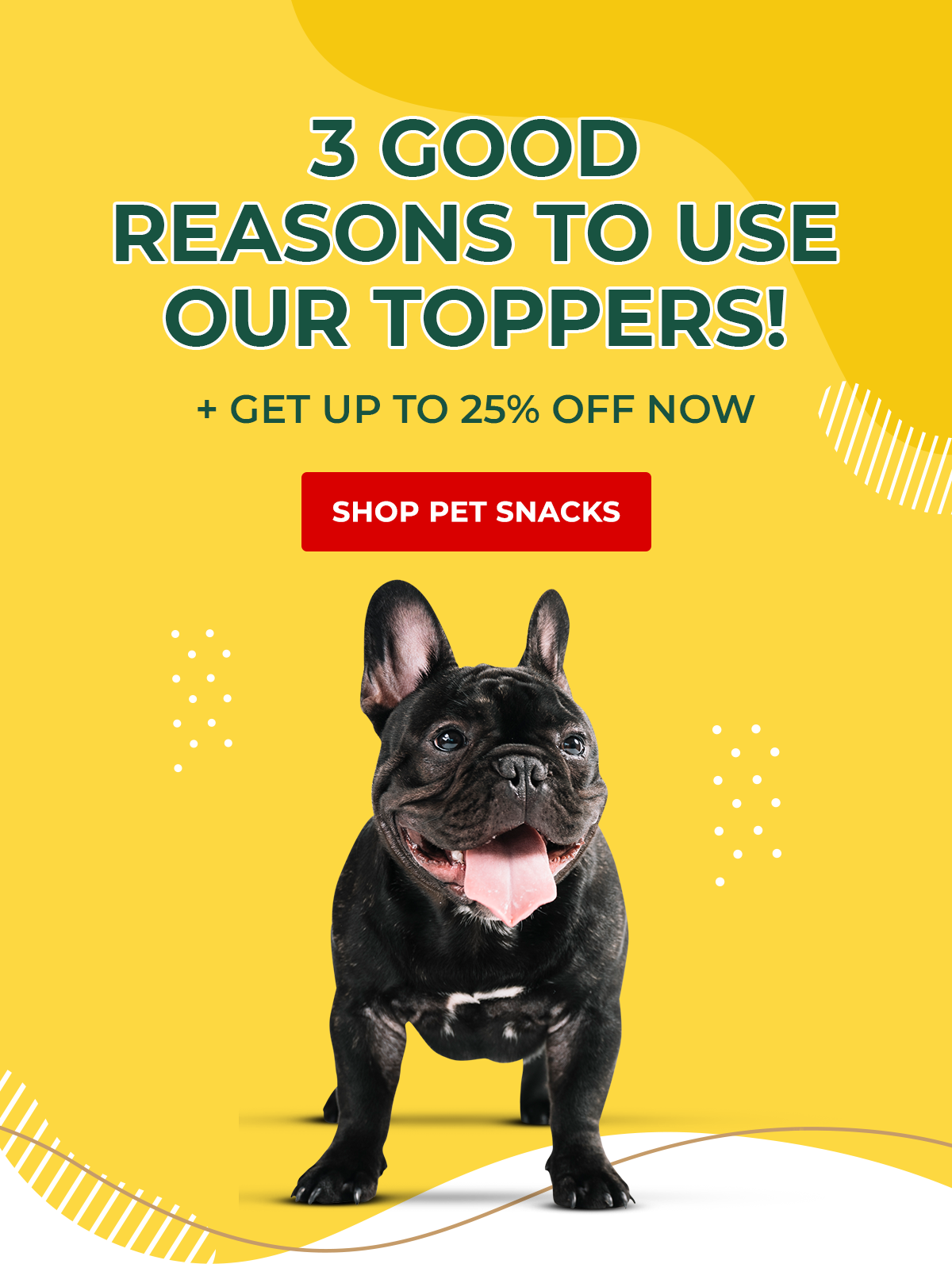 A clever way to add more protein 🍗 Pet Snacks