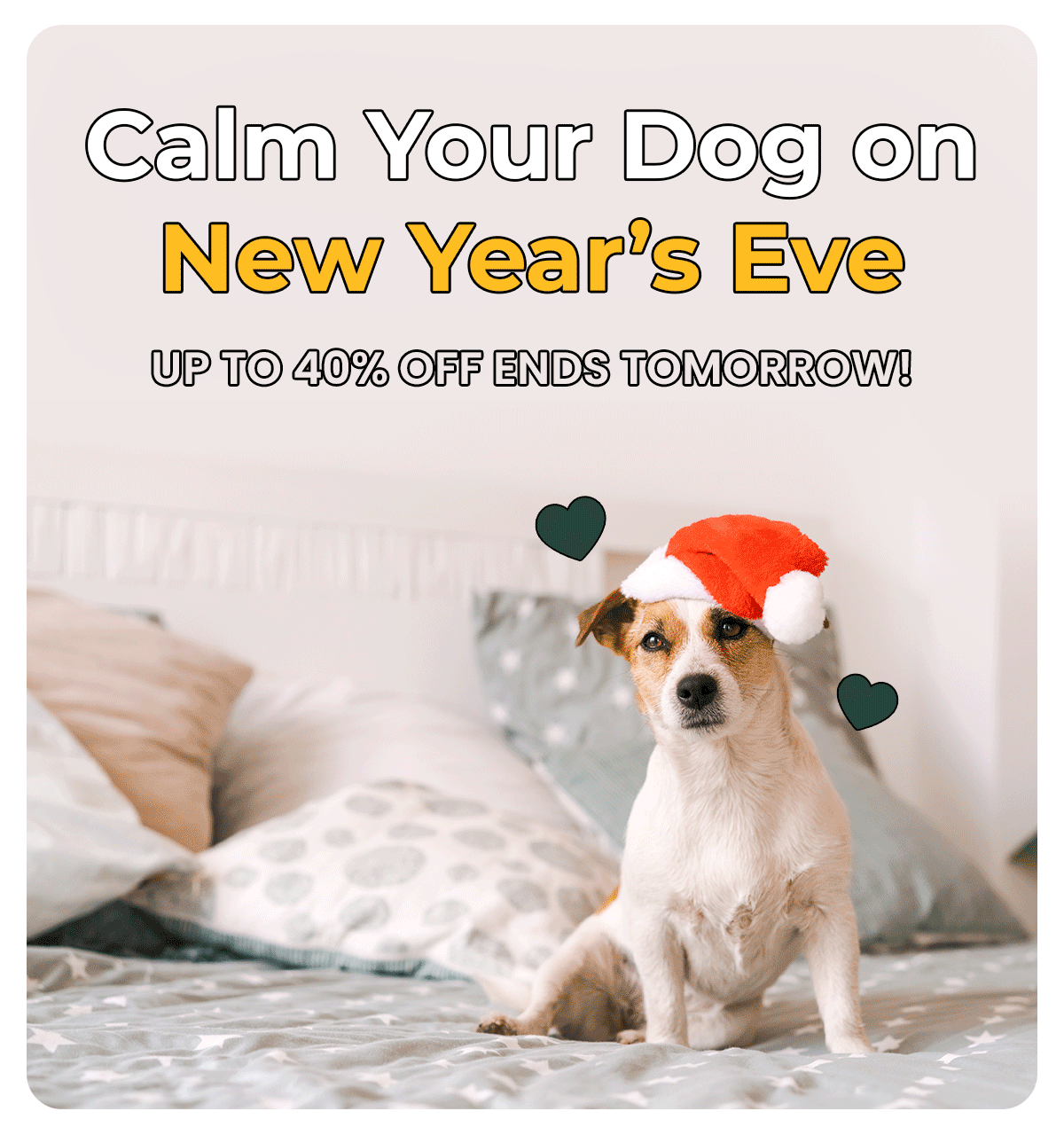 How to calm your dog on NYE Pet Snacks