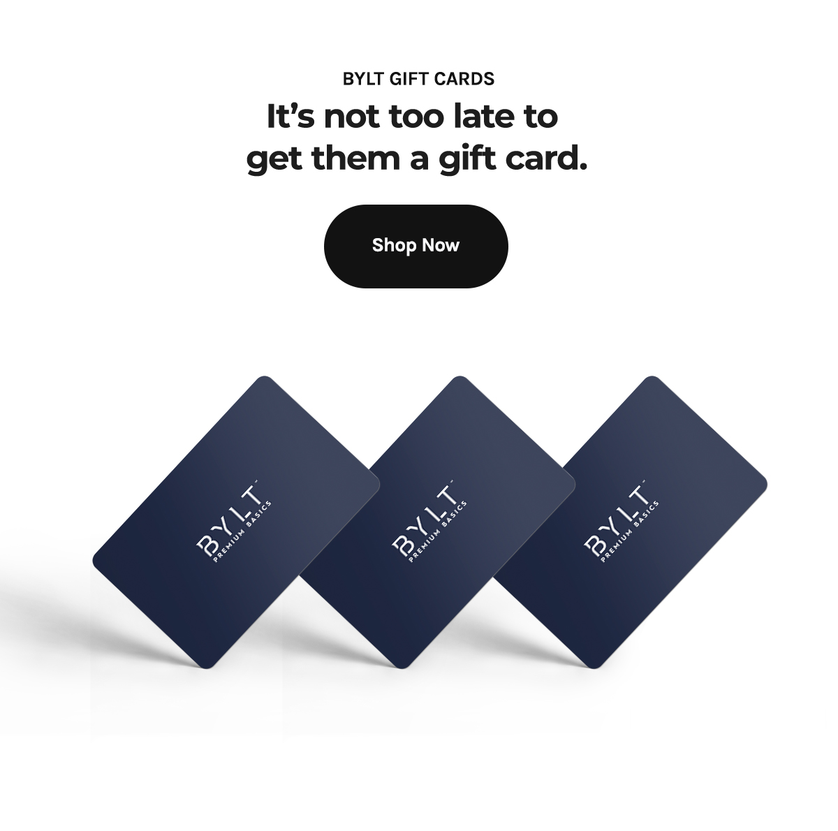 🎄 Happy Holidays BYLT Basics