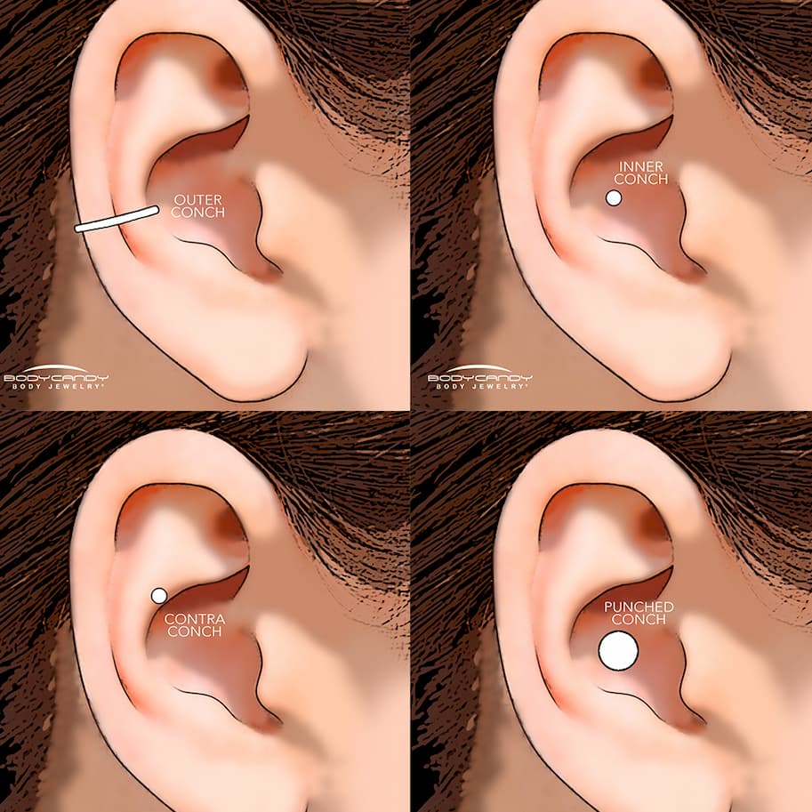 How many conch piercings are there?