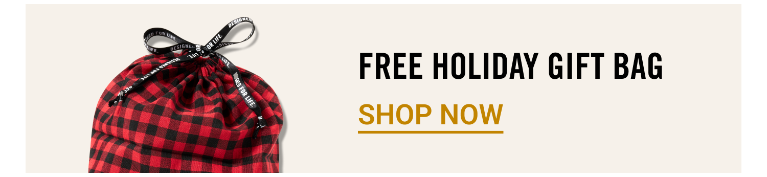 FREE Holiday Gift Bag