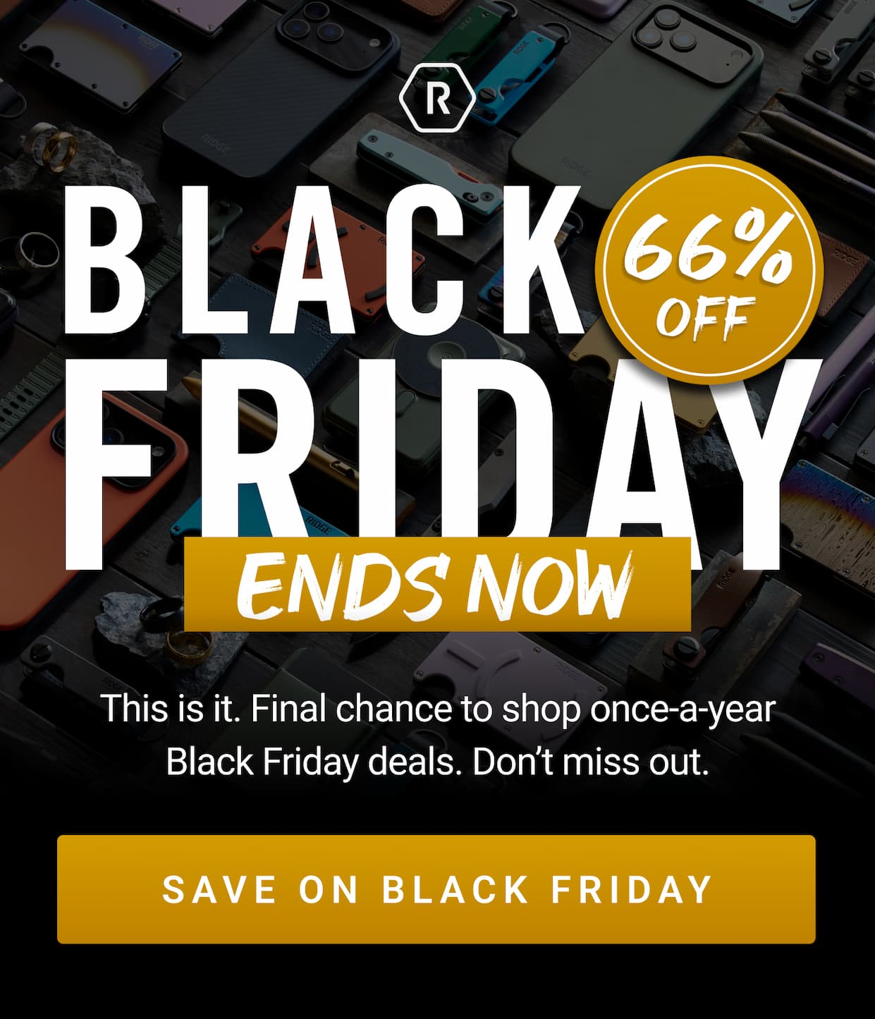 66% OFF Black Friday Ends NOW