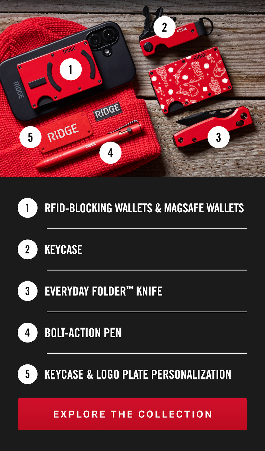 Explore the Collection