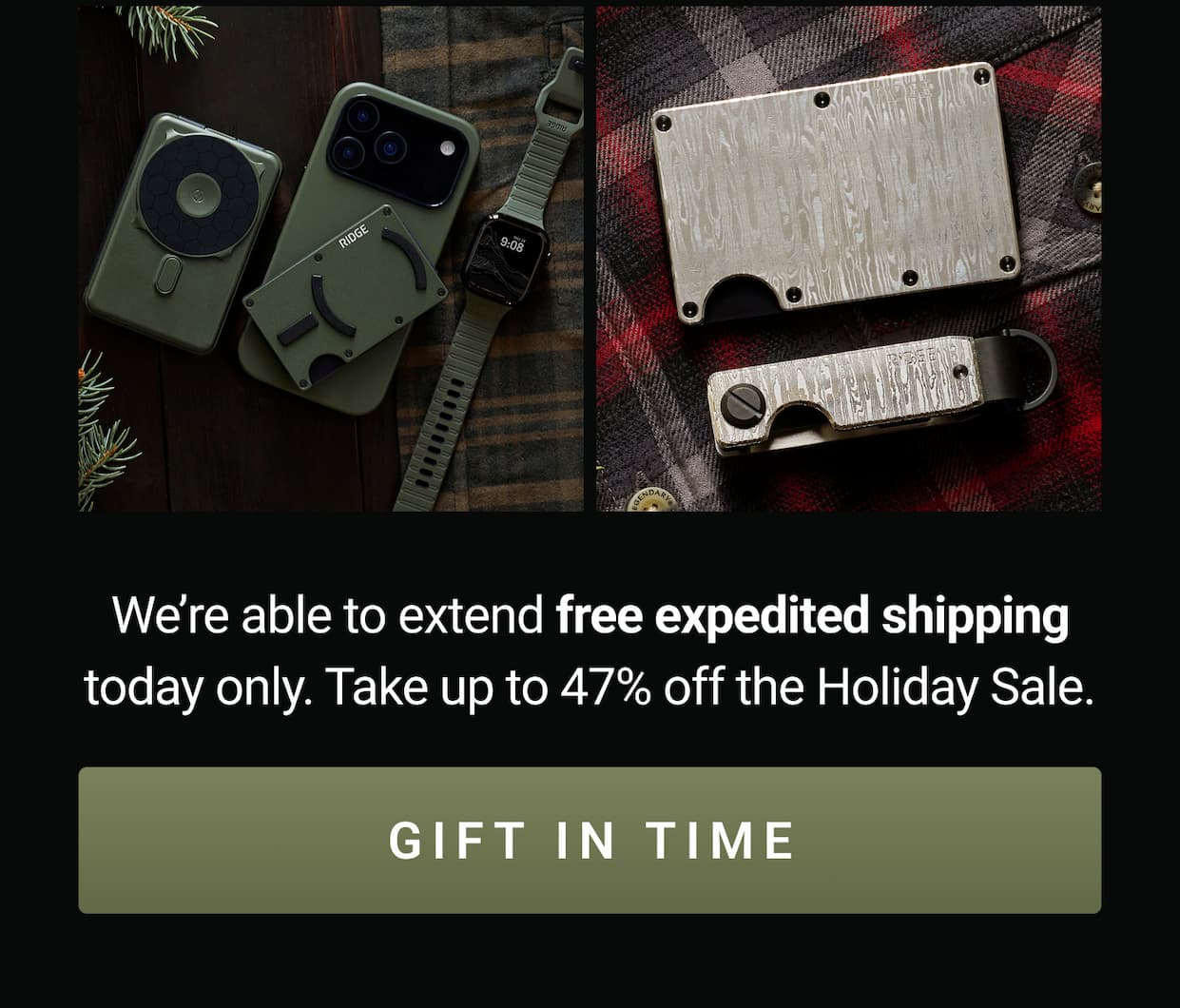 One More Chance for Free Expedited Shipping ($15 Value)