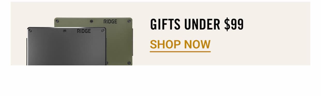 Gifts Under $99 | Shop Now
