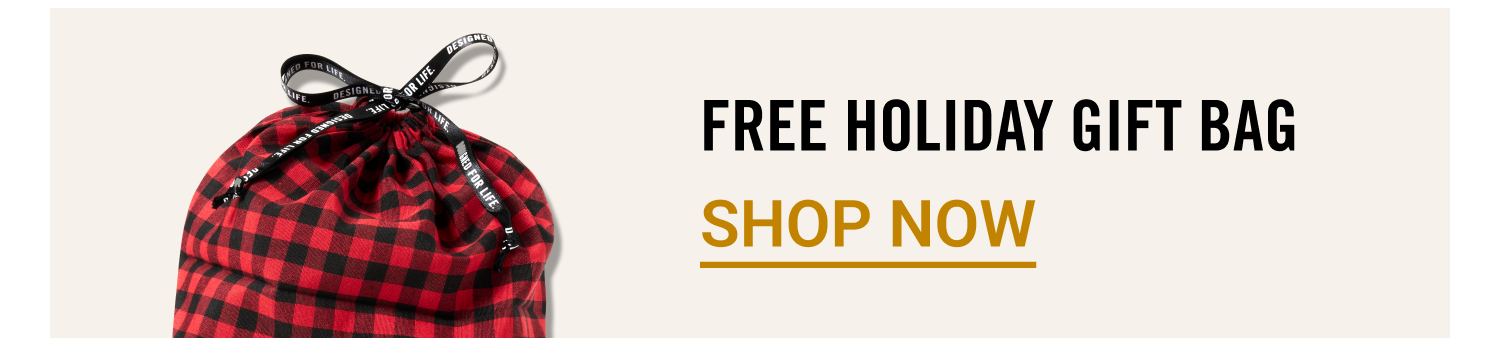 FREE Holiday Gift Bag