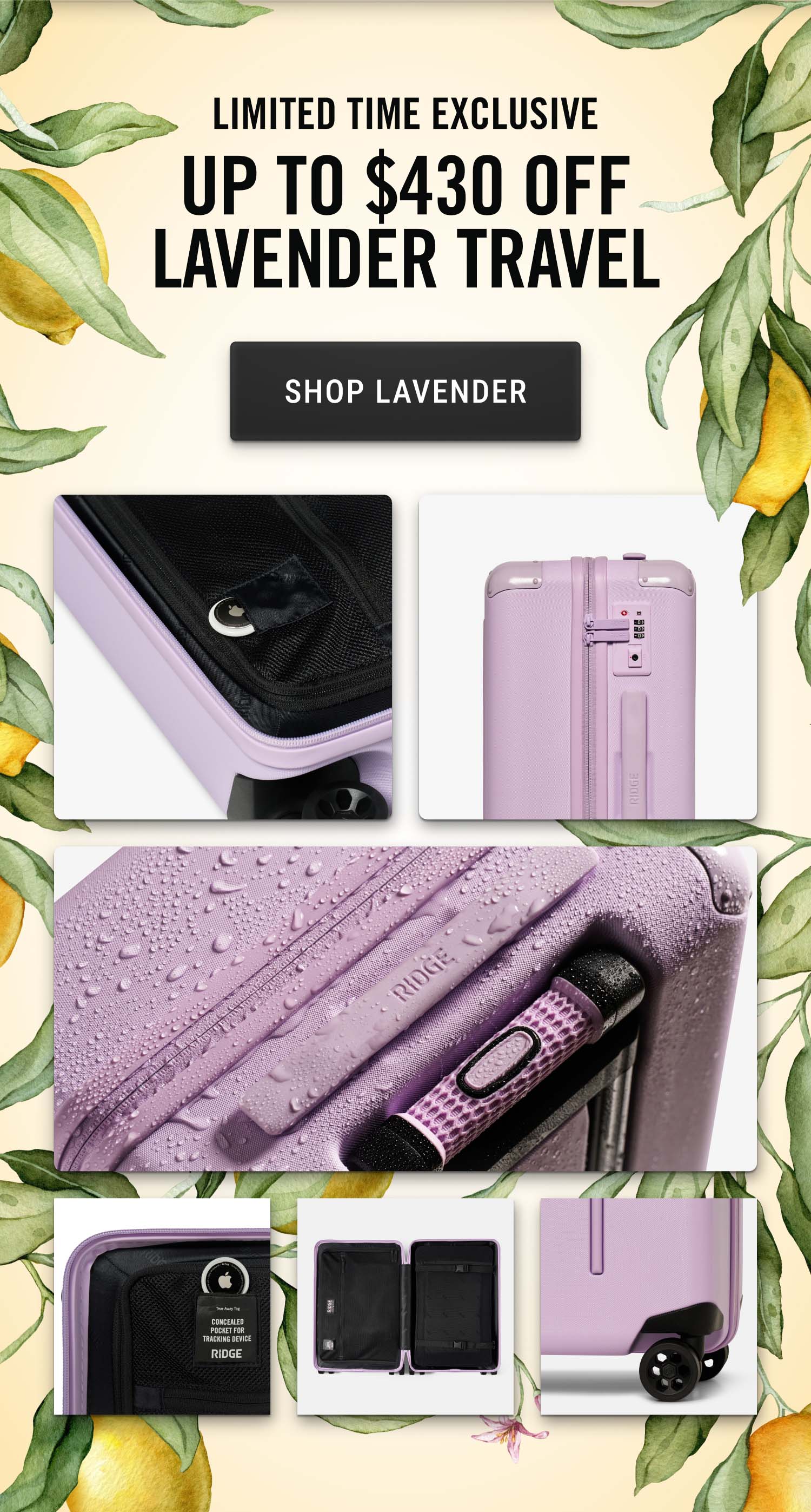 Limited Time | Up to $430 OFF Lavender Travel