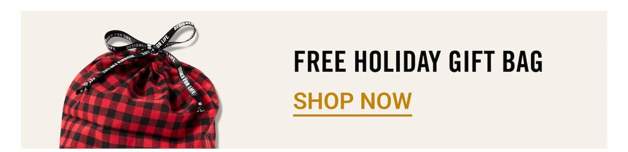 Free Holiday Gift Bag