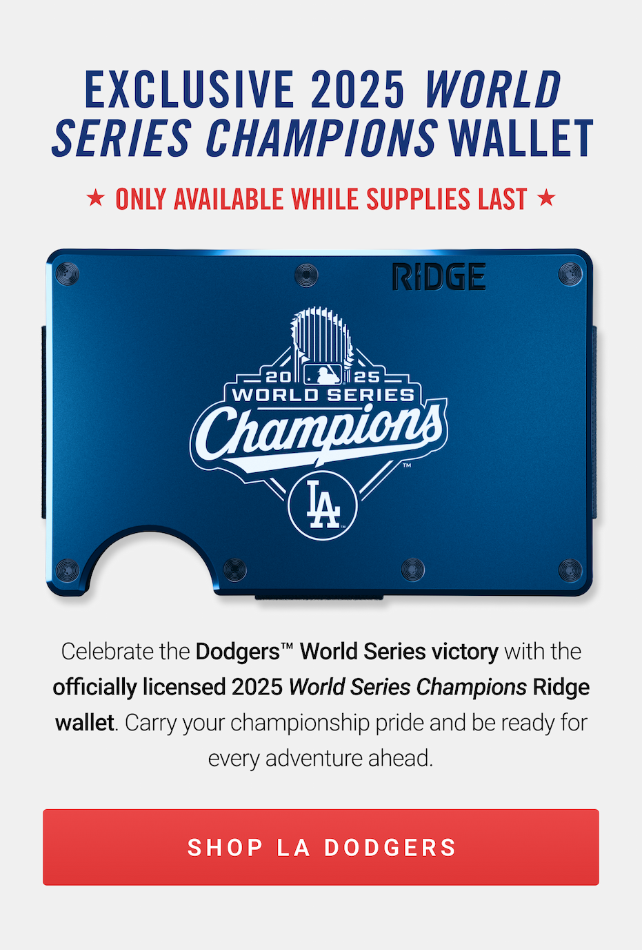 Dodgers World Series Champions