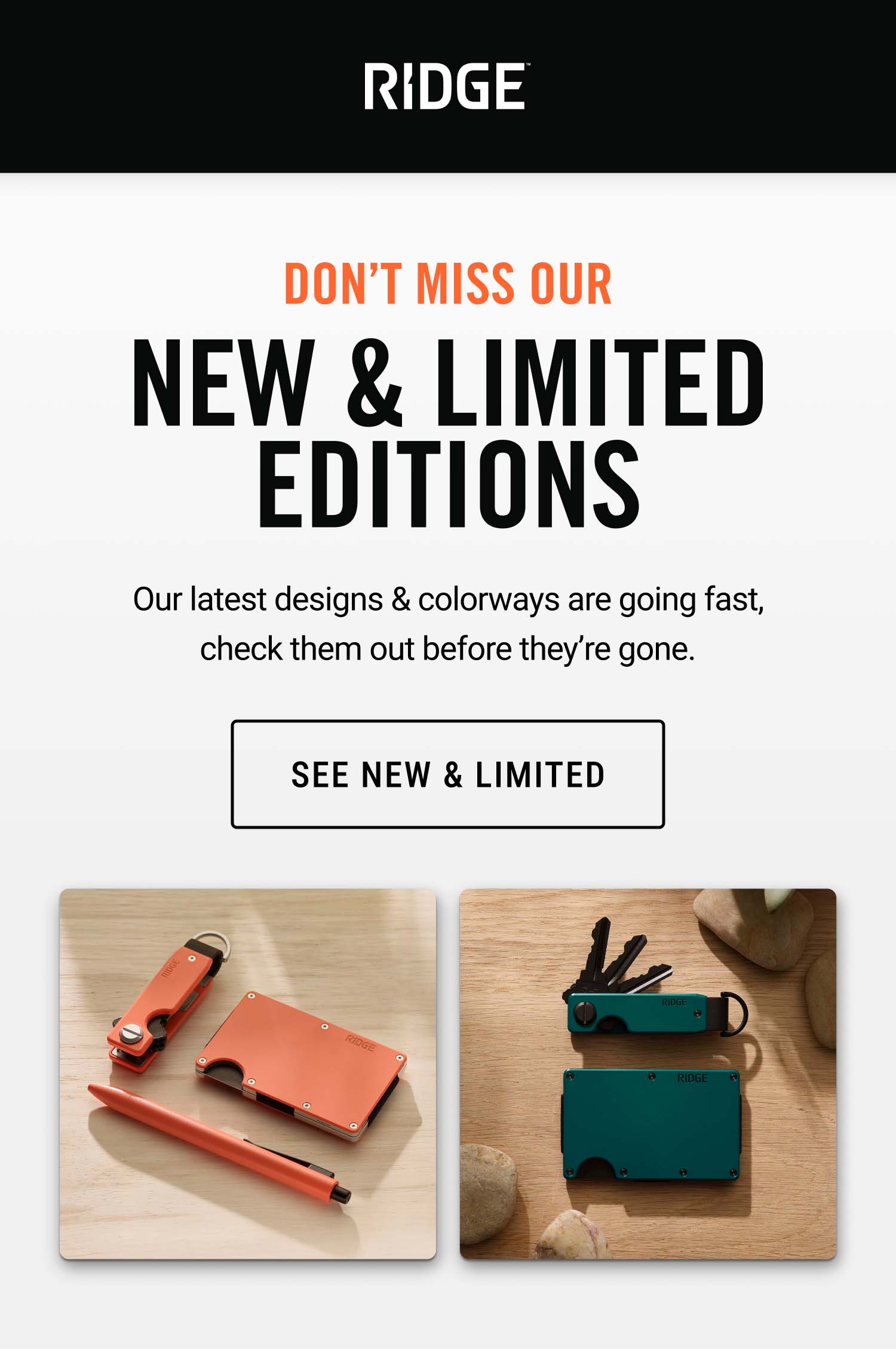 Don't Miss New & Limited Editions