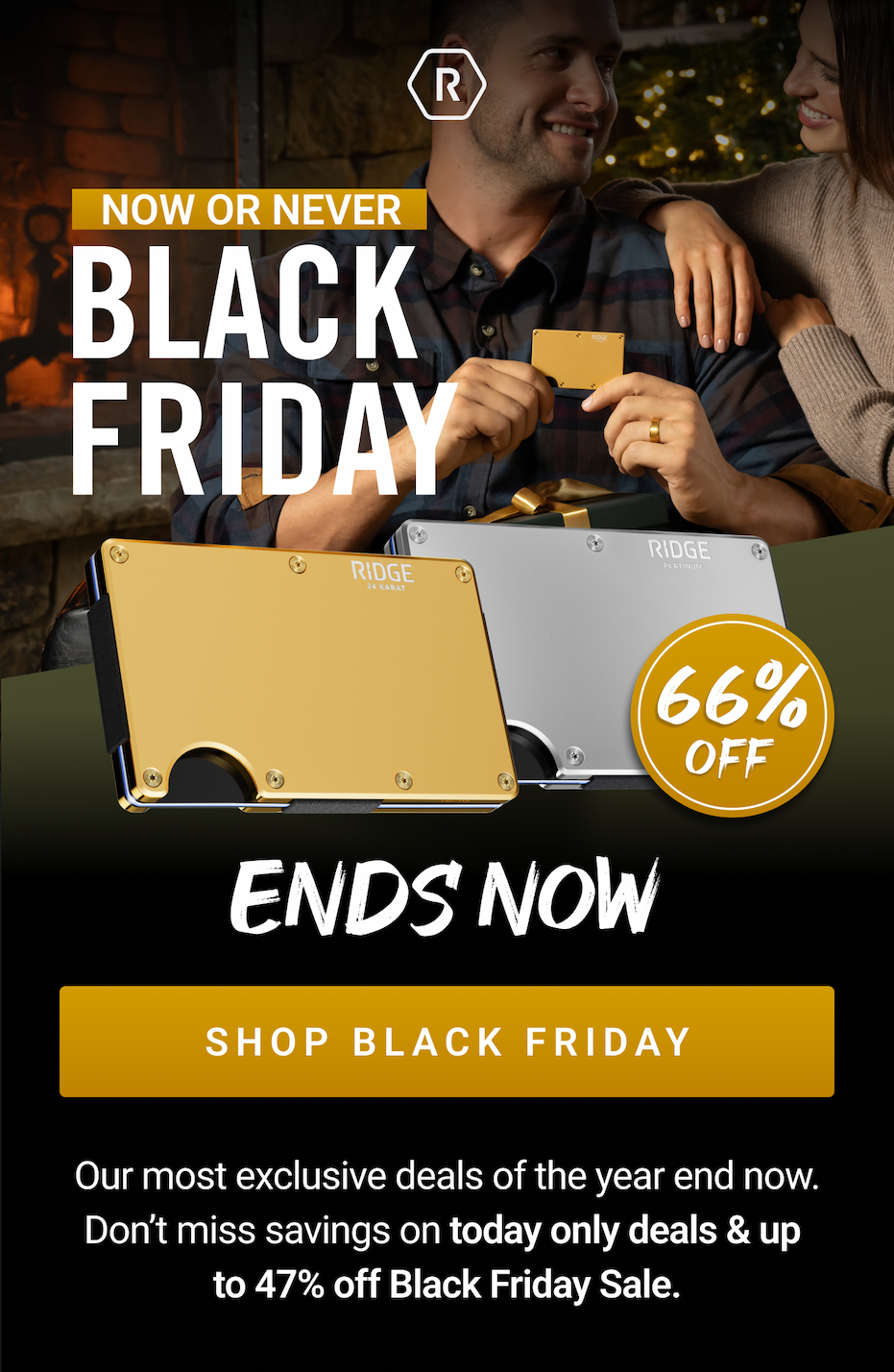 NOW OR NEVER: Black Friday 66% OFF