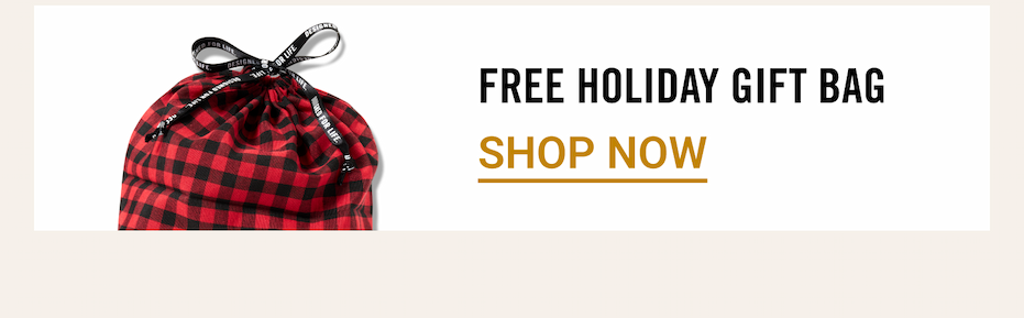 FREE Holiday Gift Bag