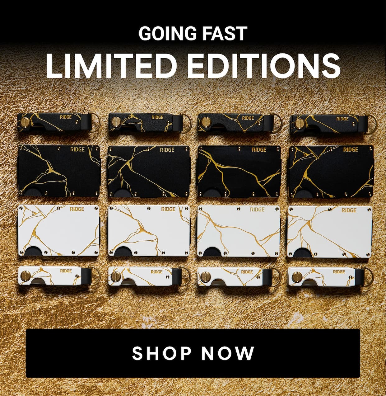 New & Limited Editions | Shop Now