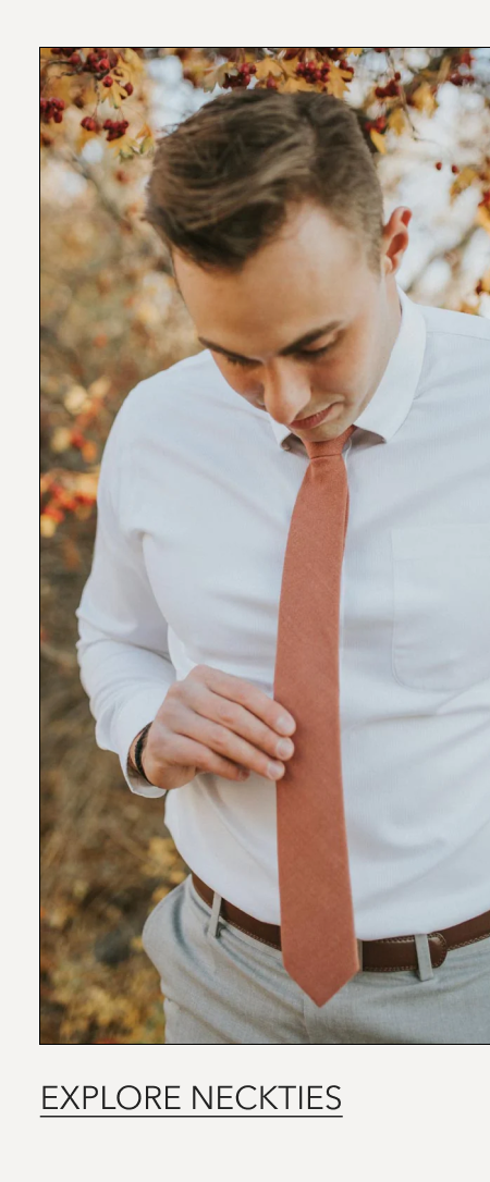 Explore Neckties