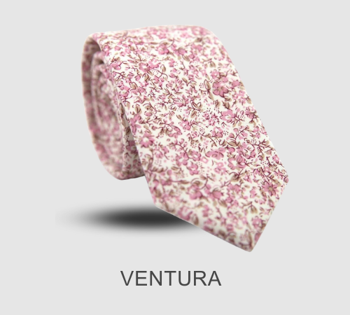 VENTURA