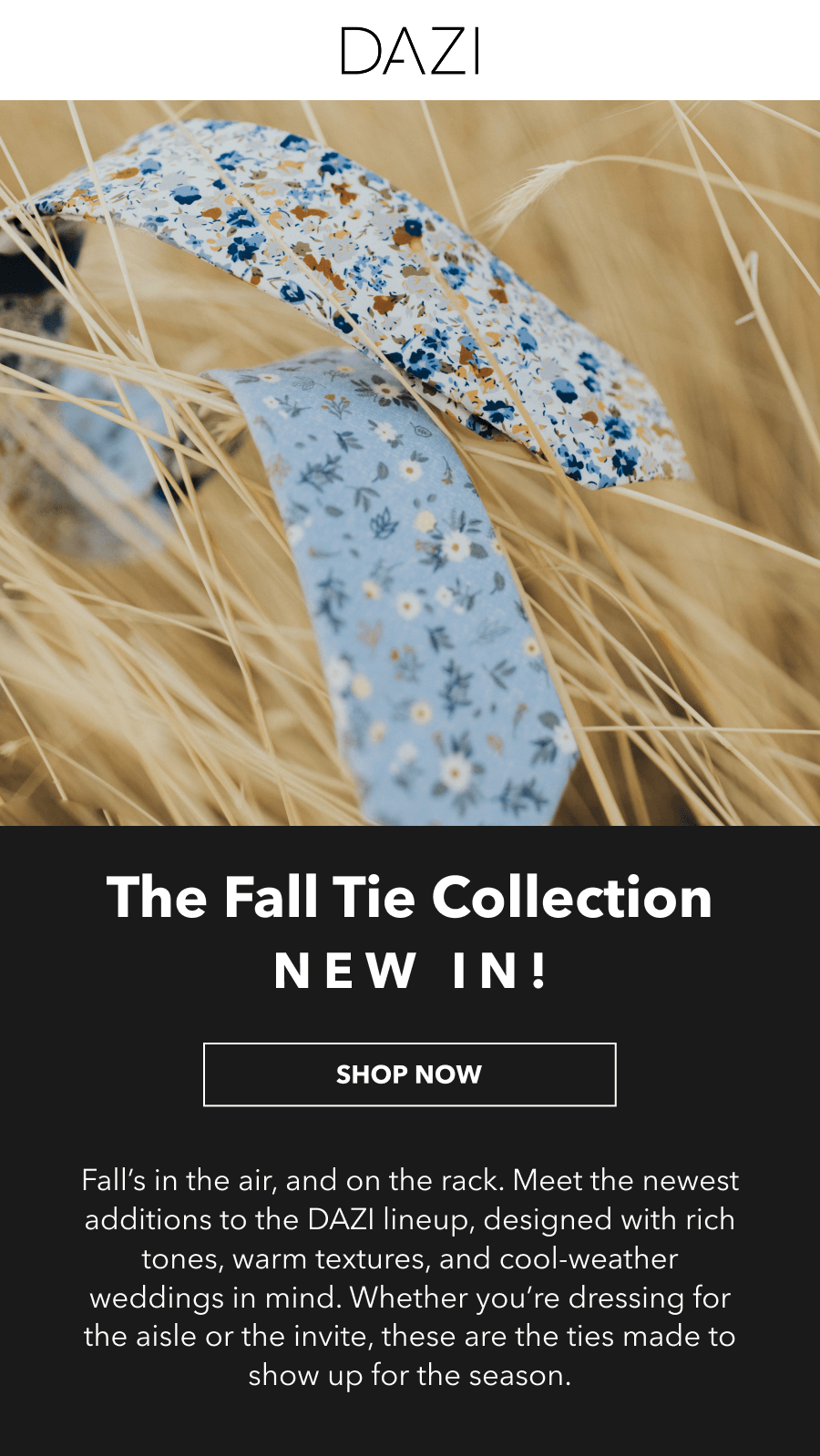 The Fall Tie Collection NEW IN 