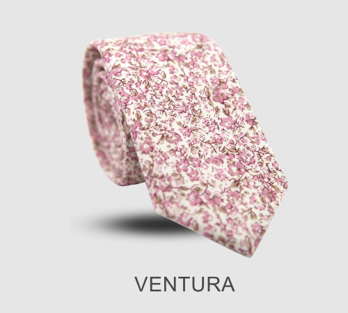VENTURA