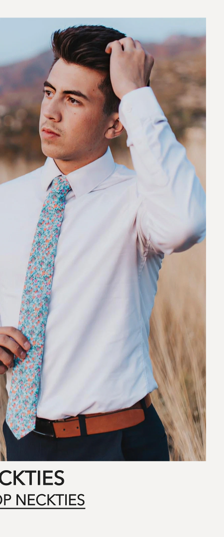 Shop Neckties