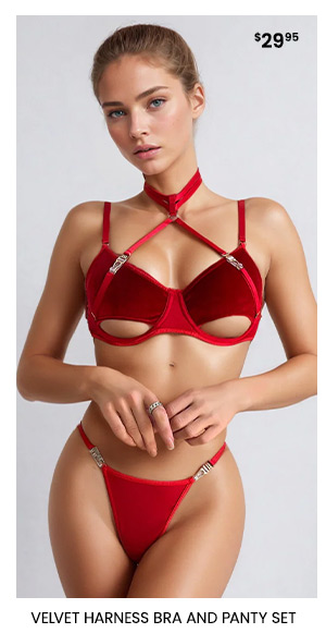 Velvel Harness Bra and Panty set