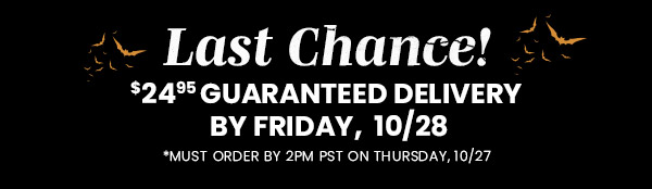 $24.95 Guaranteed 10/28 Delivery. Must Order by 2pm, 10/27