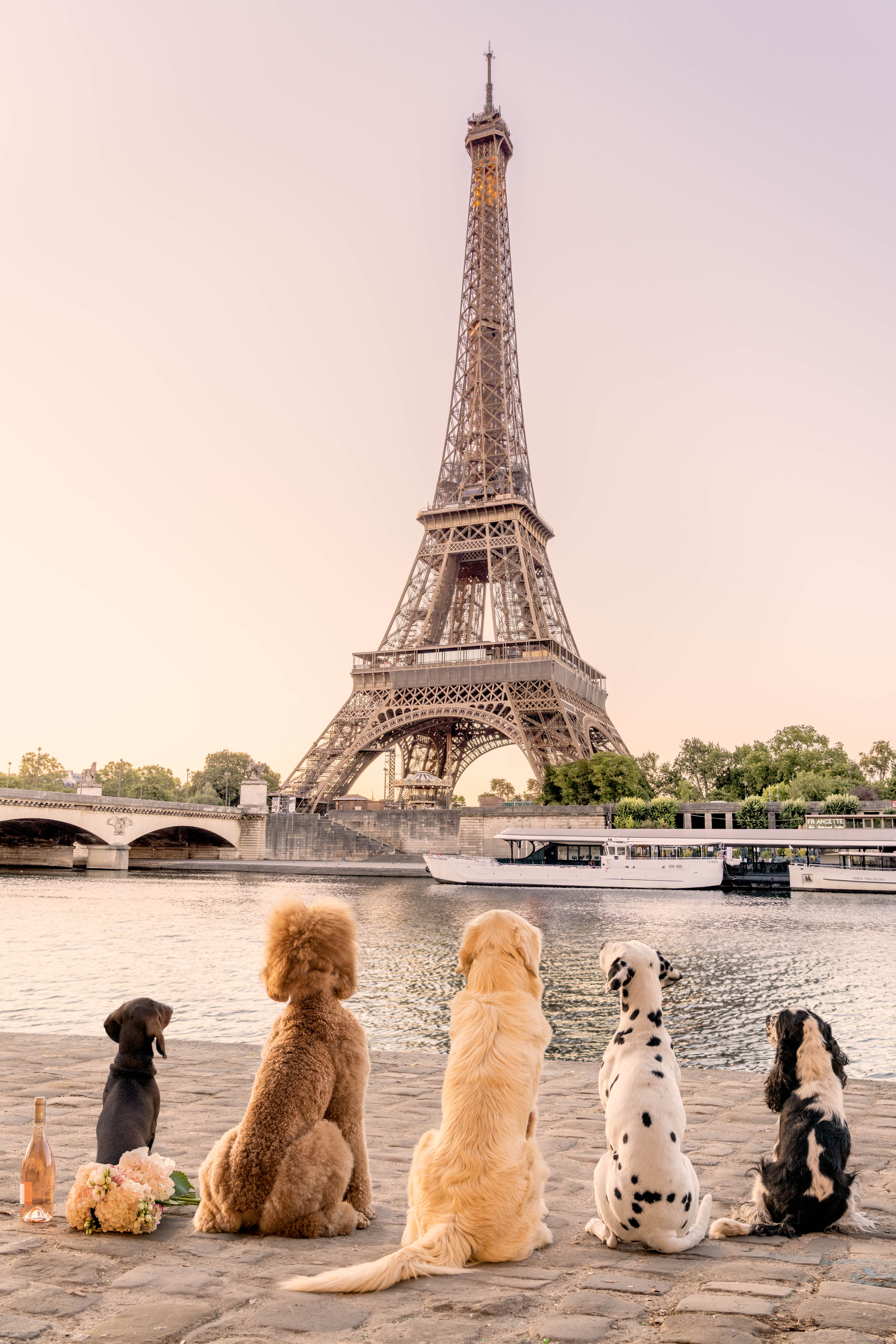 The Dogs of New York City 1000 Piece Puzzle – Gray Malin