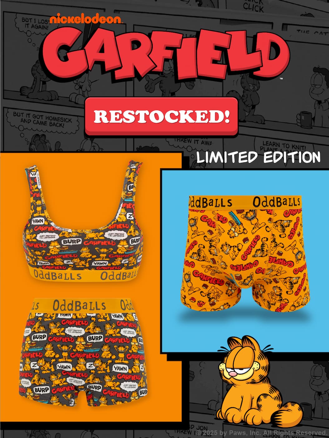 Limited Edition Garfield has been restocked