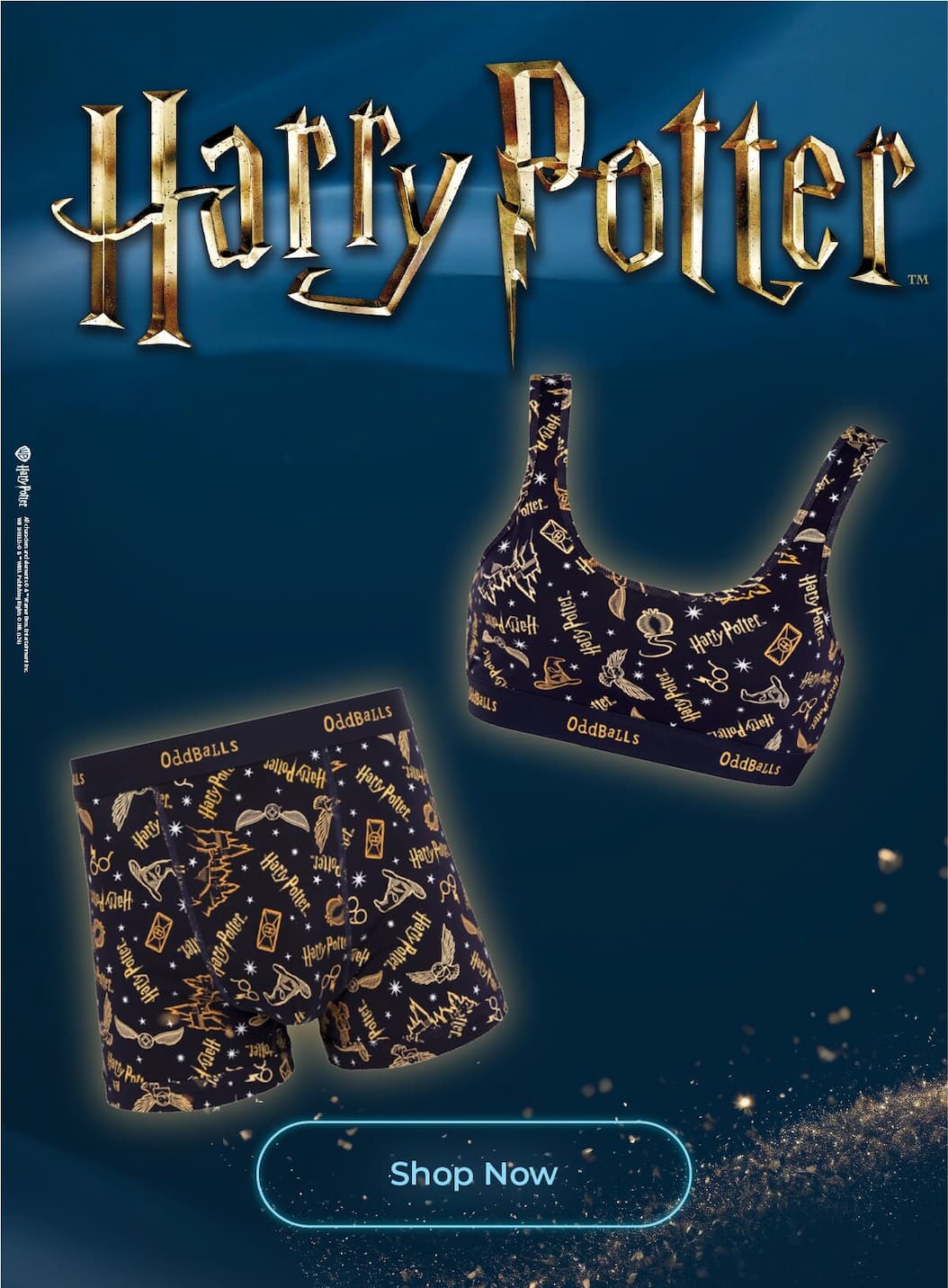 New Harry Potter | Shop Now