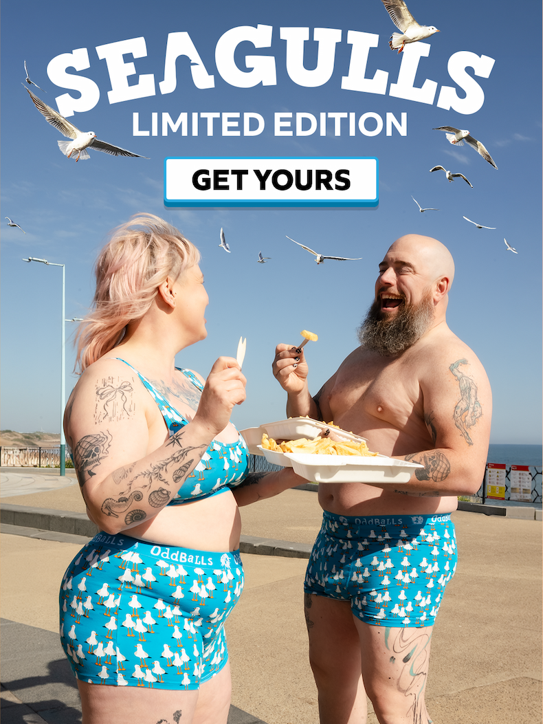 NEW | Limited Edition Seagulls