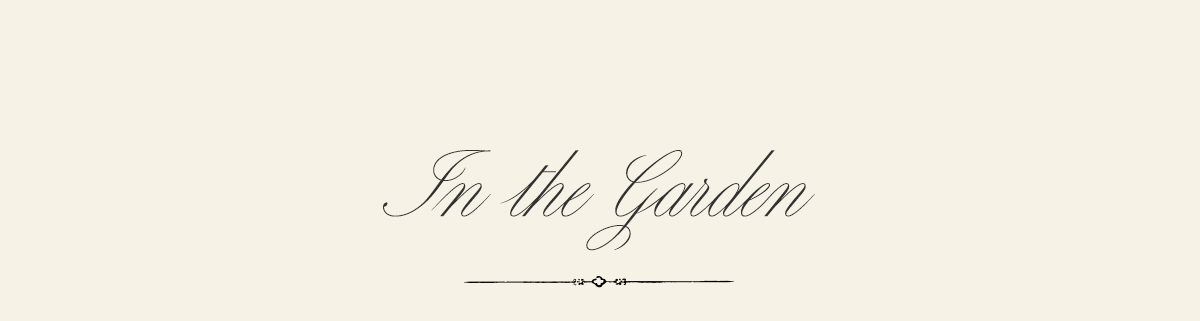 In The Garden