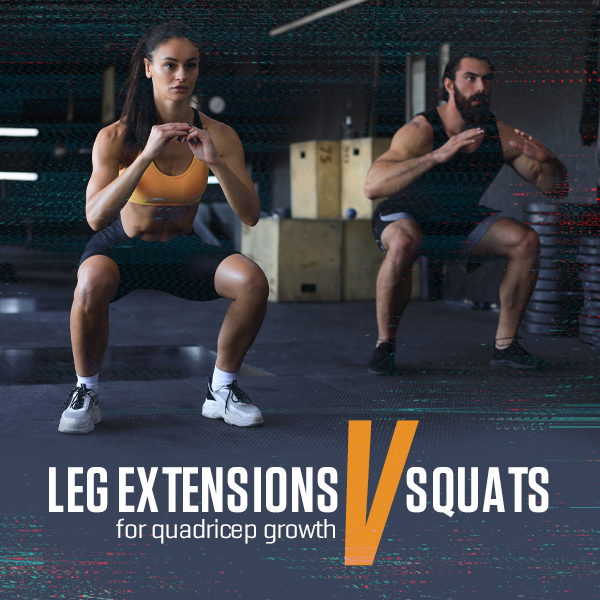 Leg extensions vs squats for quadricep growth Bulk Nutrients