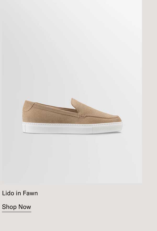 Lido in Fawn