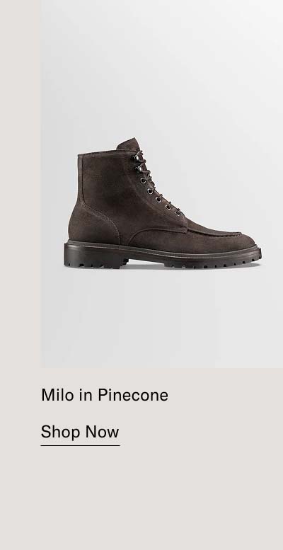 Milo in Pinecone  Shop Now