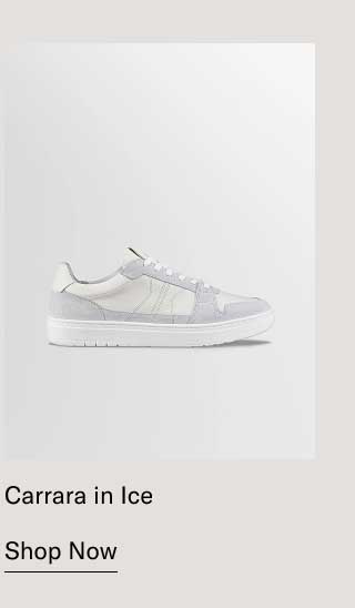 Carrara in Ice [Shop Now]