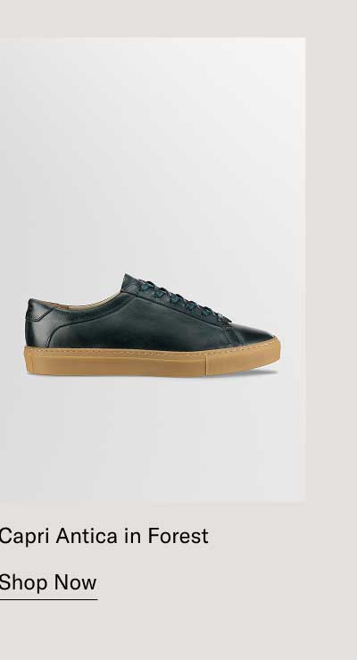 Capri Antica in Forest — [Shop Now]