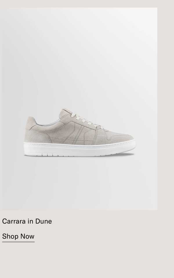 Carrara in Dune   [Shop Now]