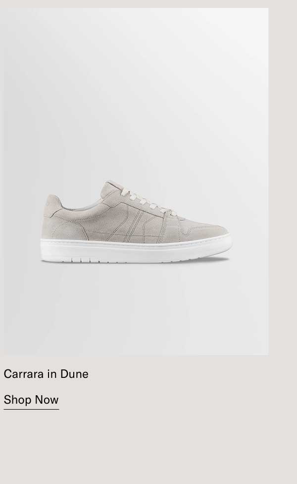 Carrara in Dune   [Shop Now]