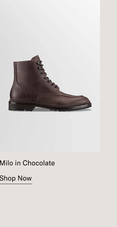 Milo in Chocolate  Shop Now
