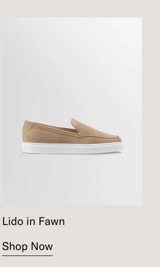 Lido in Fawn