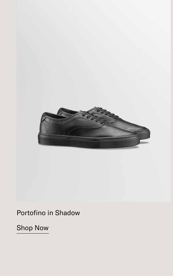 Portofino in Shadow. Shop Now