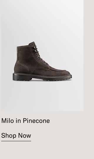 Milo in Pinecone. Shop Now