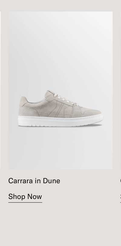 NEW COLOR Carrara in Dune