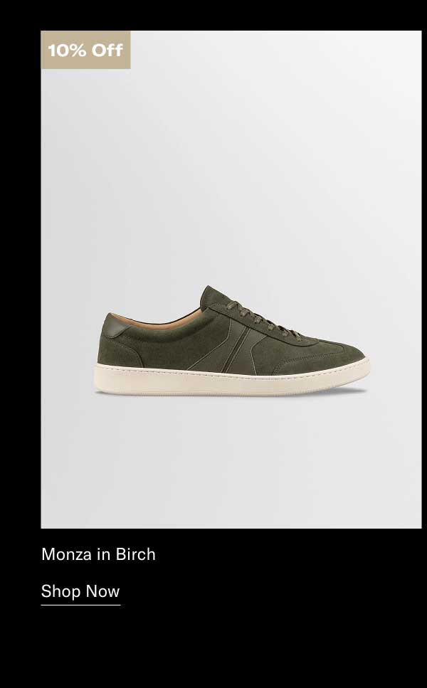 Monza in Birch