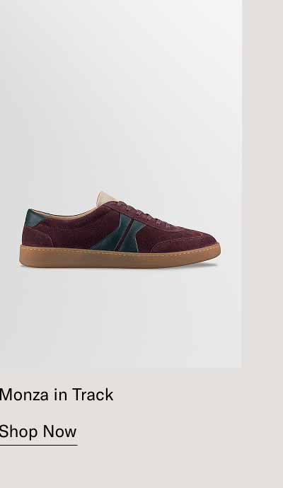Monza in Track. Shop Now